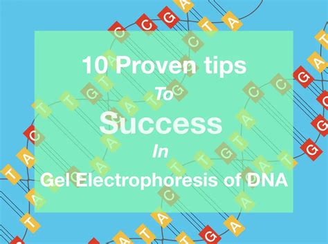 10 Proven Tips to Success in Gel Electrophoresis of DNA.